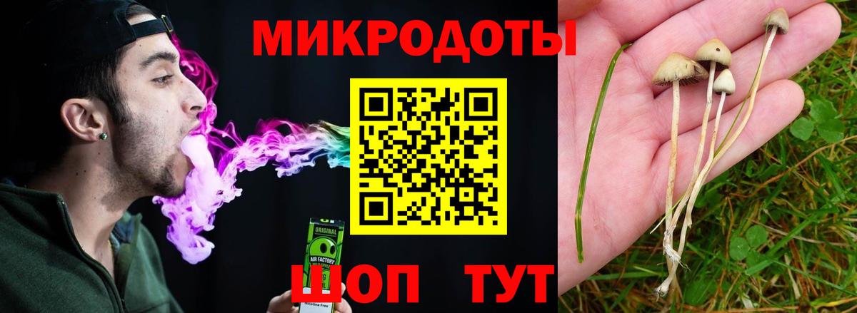 Галлюциногенные грибы MAGIC MUSHROOMS  Галлюциногенные грибы мухоморы  Вход с VPN  Кинель 