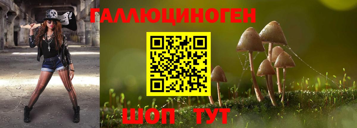 Галлюциногенные грибы мухоморы Кинель